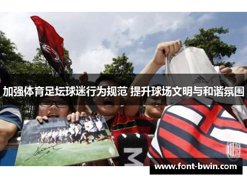 加强体育足坛球迷行为规范 提升球场文明与和谐氛围