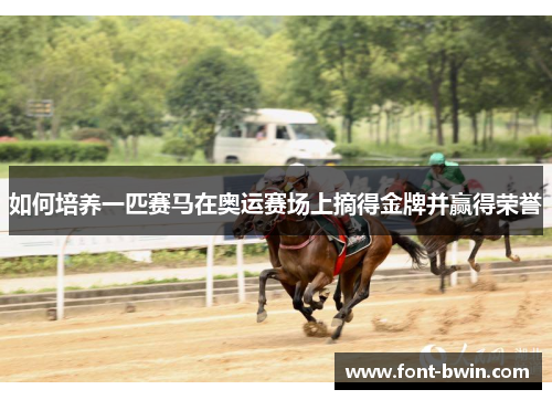 如何培养一匹赛马在奥运赛场上摘得金牌并赢得荣誉